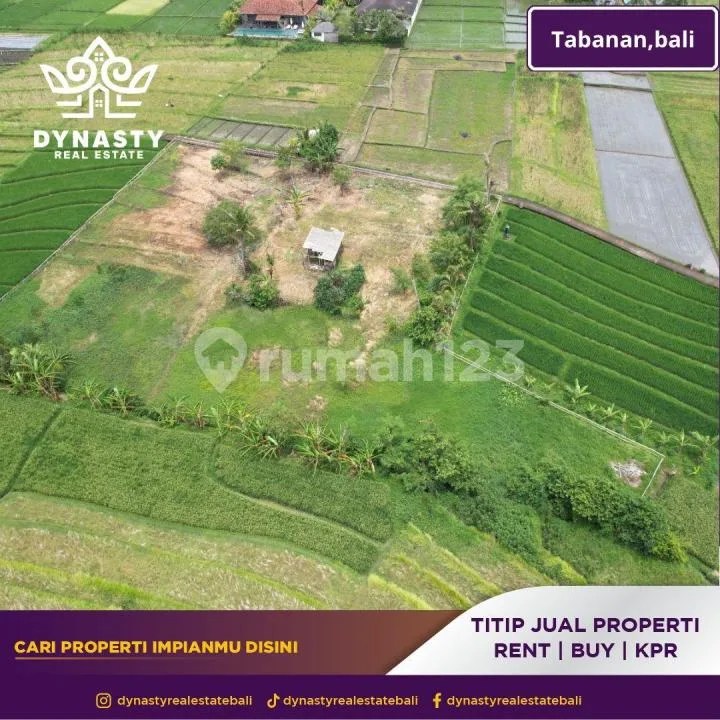 Lahan Premium Nyanyi - Siap Bangun, Siap Cuan :Rocket: - Image 3 of 4