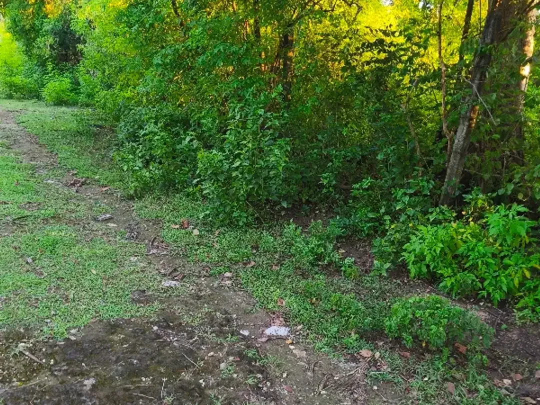 dijual tanah kawasan balangan jimbaran Kuta Selatan Badung Bali - Image 10 of 10