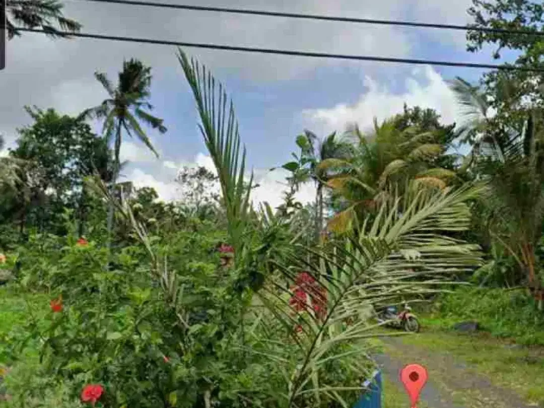 Land 2ha for Sale at Sidemen Traditional Village Bali - Image 2 of 10