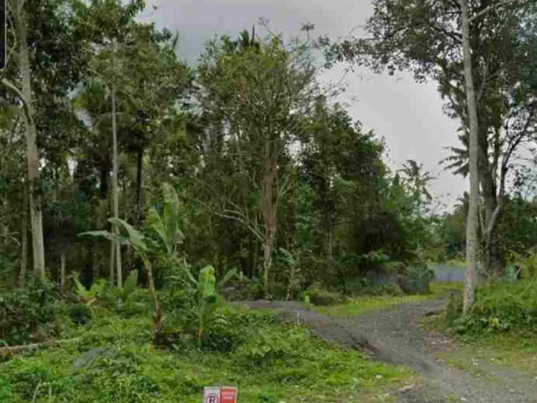 Land 2ha for Sale at Sidemen Traditional Village Bali - Image 4 of 10