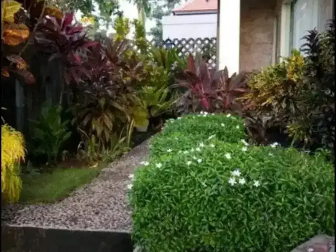 Rumah Semi Villa 247 m2 dekat Kampus Unud Goa Gong Jimbaran - Image 3 of 10