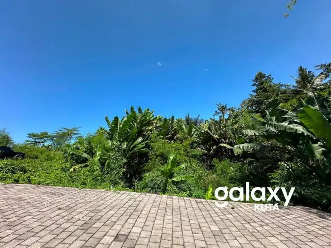 DIJUAL TANAH HOOK JUNGLE VIEW DEKAT KANTO LAMPO DI BENG GIANYAR - Image 5 of 10