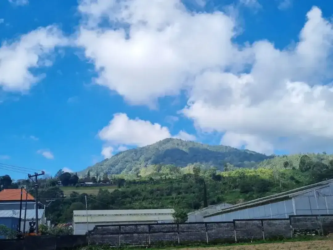 TANAH KAVLING DIJUAL – PANCASARI, BEDUGUL - Image 2 of 5