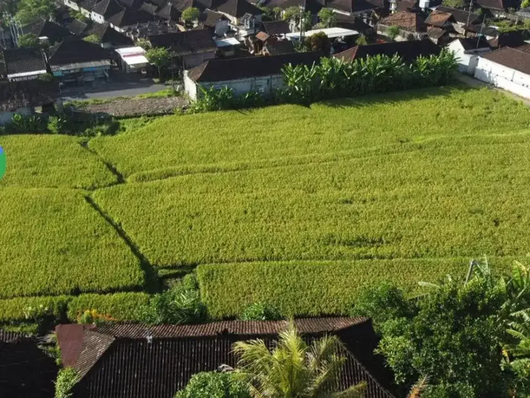 Dijual Tanah Pinggir Jalan Utama Kediri Tabanan - Super Strategis - Image 1 of 5