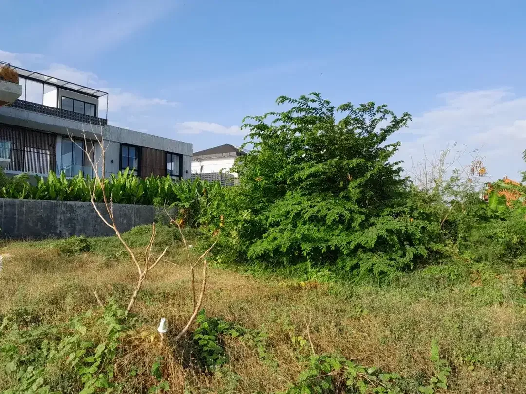 Dijual Tanah Strategis 140 m² di Kerobokan dengan Pemandangan Sawah yang Langka – SHM, Zona Pink, Siap Bangun - Image 3 of 9