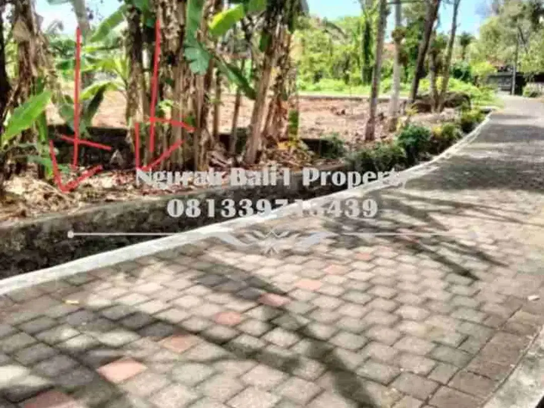 Dijual Tanah Murah Luas  8,5 Are Lokasi di Tanah Lot Tabanan - Image 3 of 6