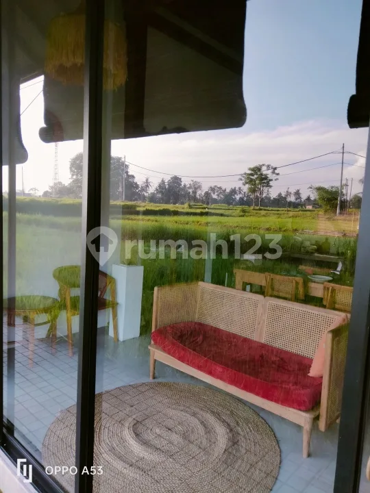 For Rent Villa Location Strategic Ubud 10 Menit From Central Ubud Mongkey Forest Center 40 Menutes From Canggu Nyanyi Beach Tanah Lot Tabanan Tepi Sawah Villa Healing Paling Top di Ubud Bali - Image 2 of 4