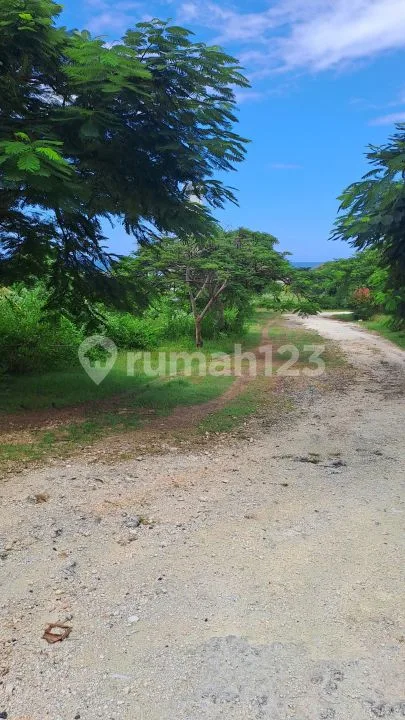 Pantai Pandawa - Image 2 of 4