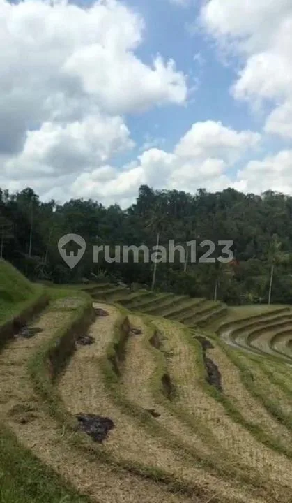 Di Jual Tanah dengan Harga Yg Murah dengan View Yg Sangat Indah - Image 4 of 4