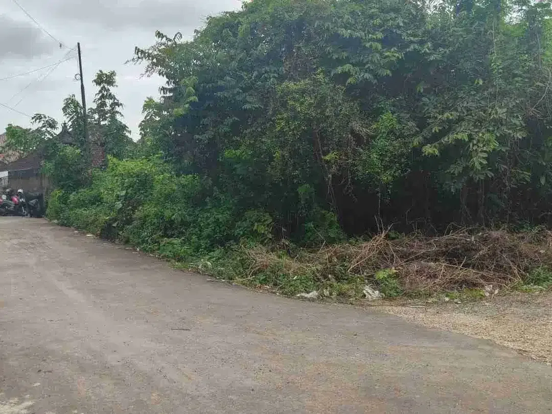Tanah Strategis Taman Mumbul Nusa Dua Bisa Split 300m2 - Image 3 of 7