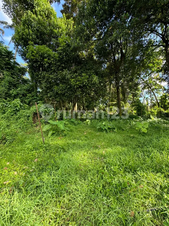 Dijual Tanah Strategis Nyuhkuning Singakerta Ubud Lingkungan Vila - Image 4 of 4