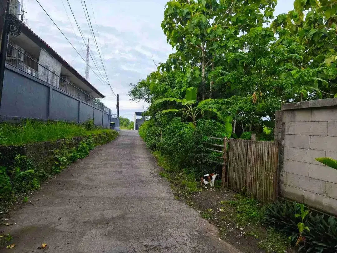 Tanah 2000m2 Lokasi Premium 6 Menit ke Pantai Gunung Payung Bali - Image 8 of 10