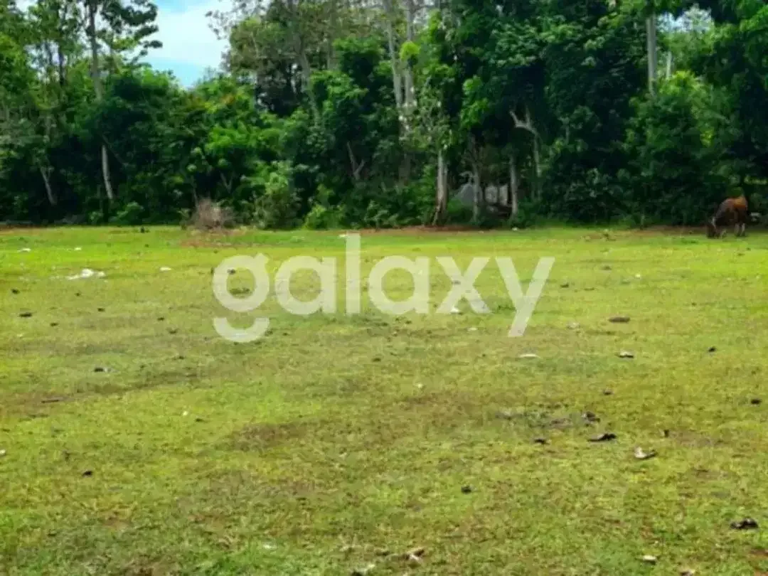 DISEWAKAN JANGKA PANJANG/ LEASE TANAH DATAR SIAP BANGUN DI ANCAK SARI PECATU - Image 5 of 8