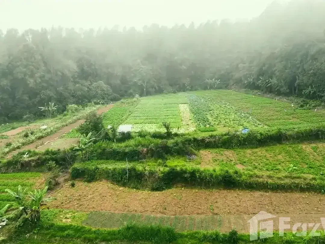 Land for sale in Baturiti, Bali - Image 5 of 5