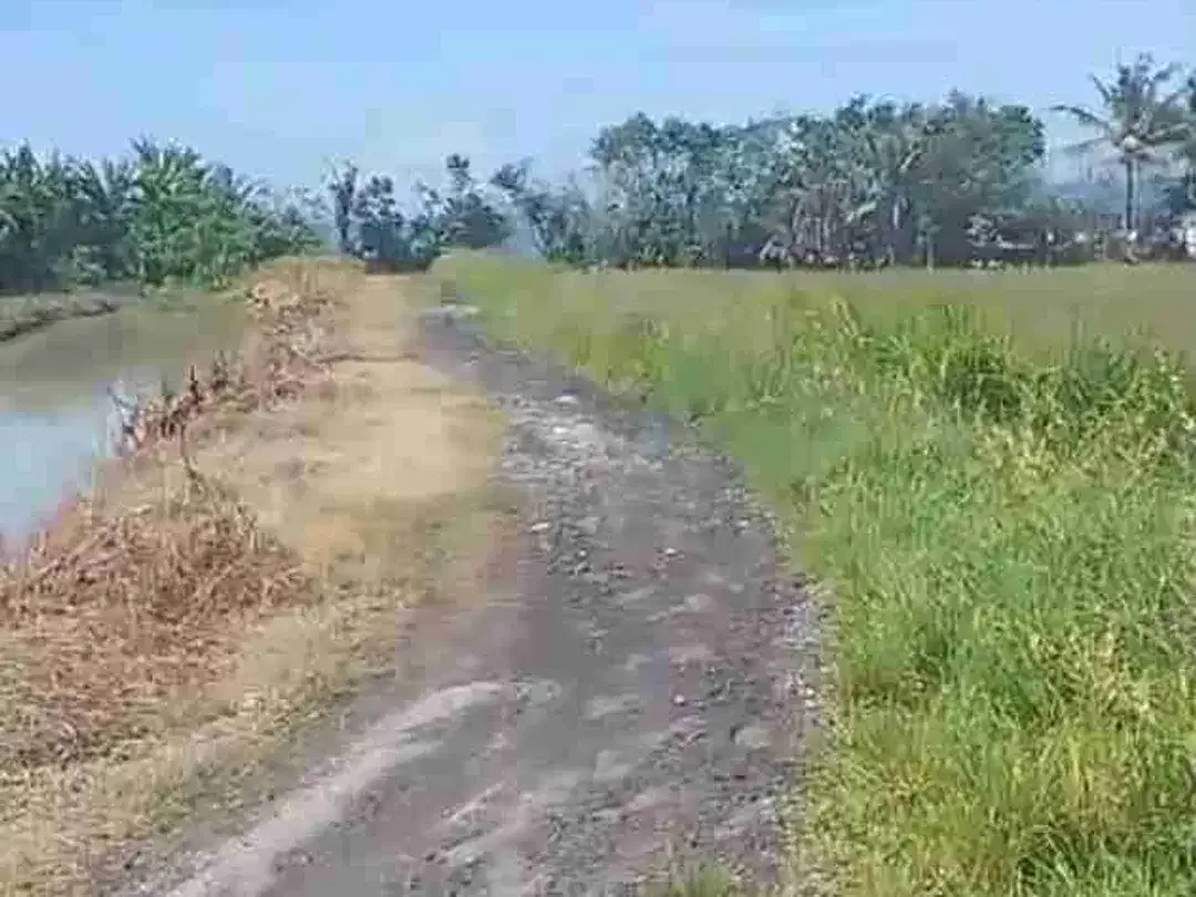 Tanah Los Pantai Pasut Tabanan View Laut dan Sawah - Image 5 of 8