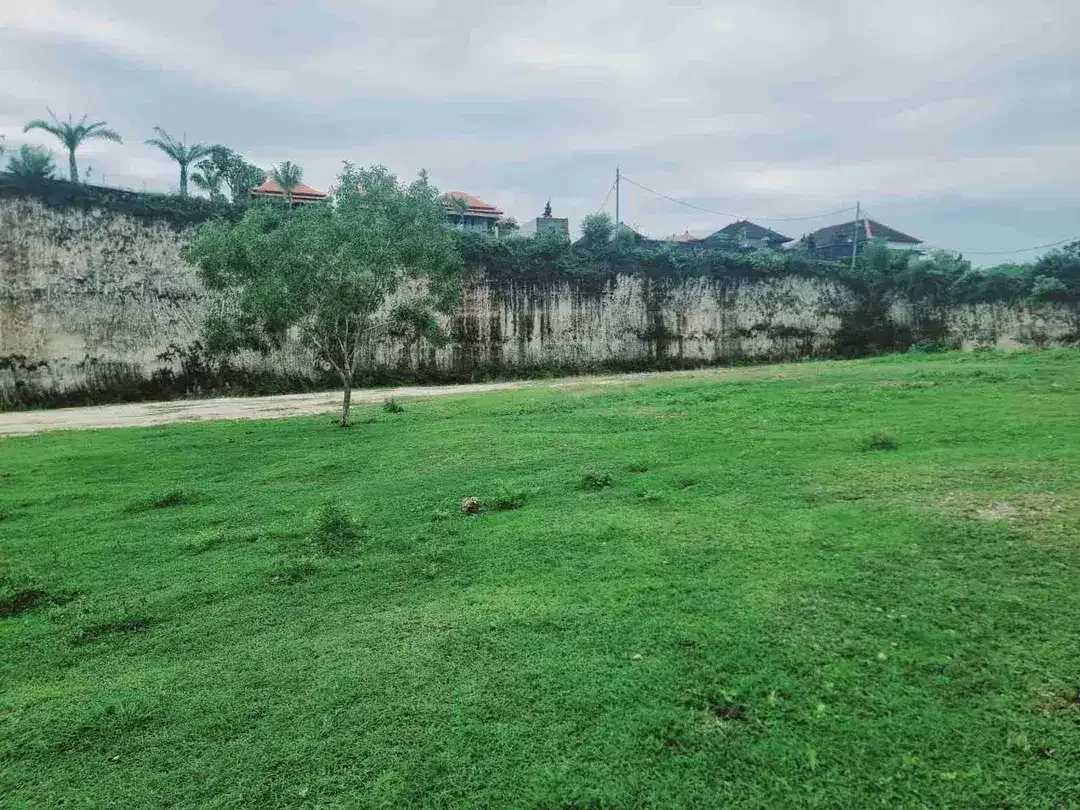 dijual tanah 10 are IDR 650 juta per are dekat pantai tanah barak Kutuh Kuta Selatan Badung Bali - Image 2 of 5