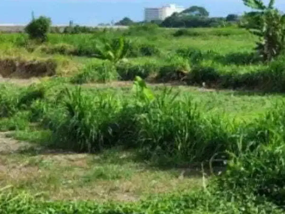 Land for sale in Denpasar Selata, Bali - Image 2 of 4