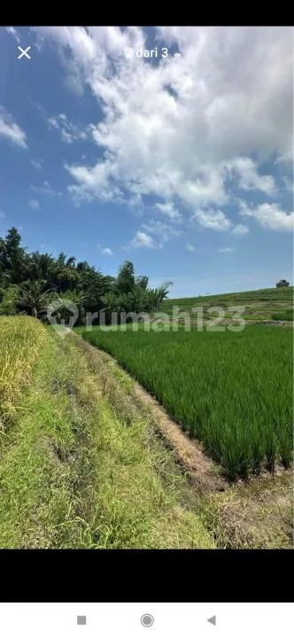 Dijual Tanah Jalan Yeh Gangga Tabanan Bebas Banjir - Image 3 of 4