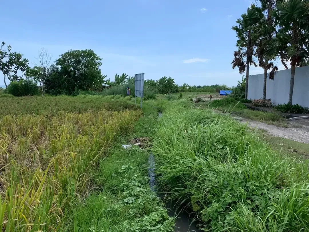 TANAH SANGAT LUAS DENGAN VIEW SAWAH LOKASI KEDIRI TABANAN - Image 7 of 9