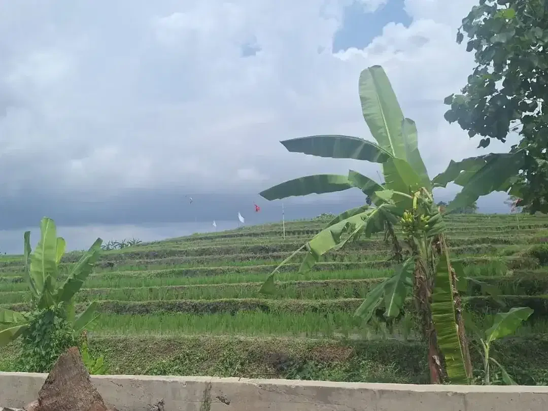 For Sale Freehold - Land area Tumbak Bayuh - Image 6 of 10