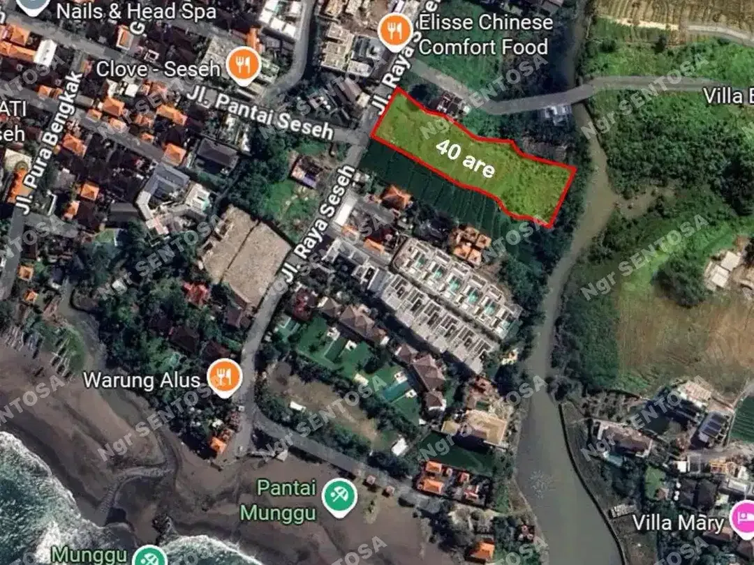 TANAH PERERENAN SESEH SUPER DEKAT PANTAI - Image 1 of 5