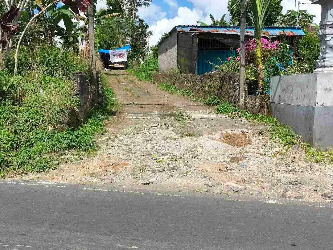 Tanah Kebun bisa untuk Kandang Peternakan di Kintamani Bali - Image 6 of 6