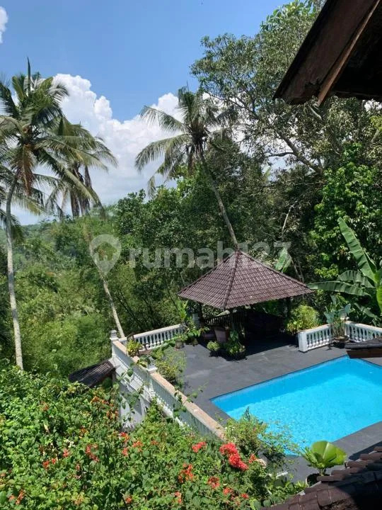 Di Jual Villa Sawah,Kerambitan Tabanan Bali - Image 4 of 4