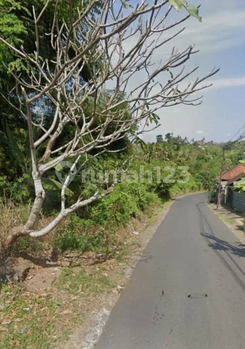 Tanah Jual Lokasi Sukawati - Image 4 of 4