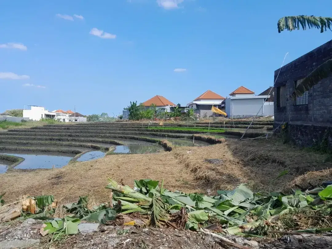 Tanah View Sawah Kayu Tulang Utara Canggu Bali - Image 2 of 10