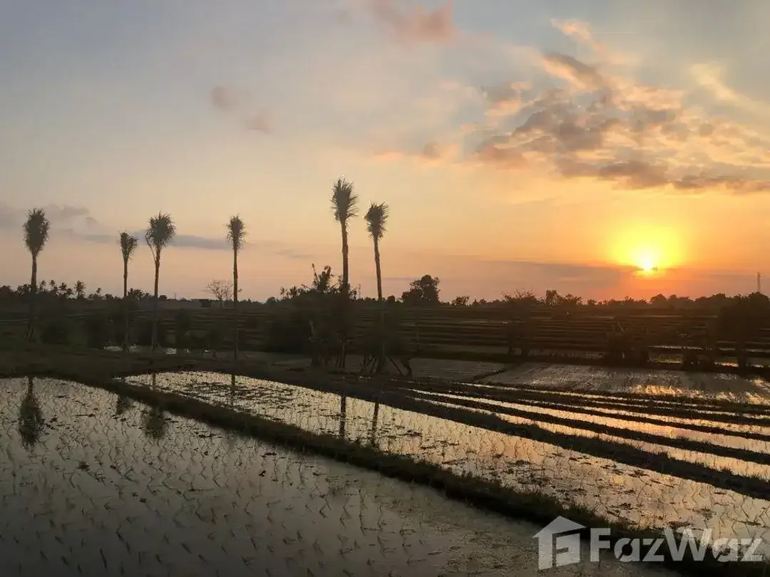 Land for sale in Kediri, Bali - Image 5 of 6