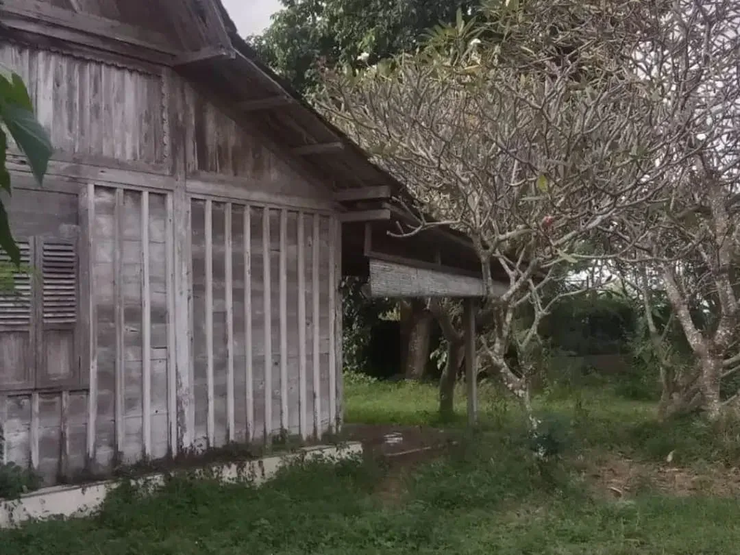 7 Are Luxury Land for Sale in Keramas – Near Bali Safari - Image 5 of 7