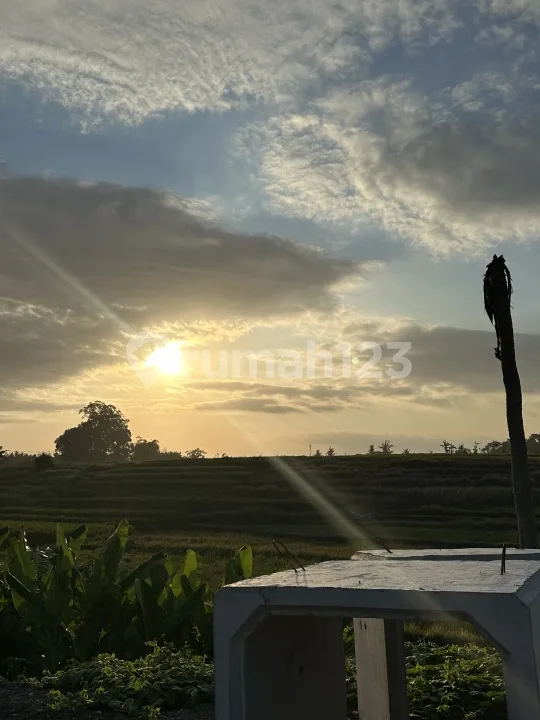 Tanah Dekat Canggu Kedungu Full View Surga - Image 2 of 4