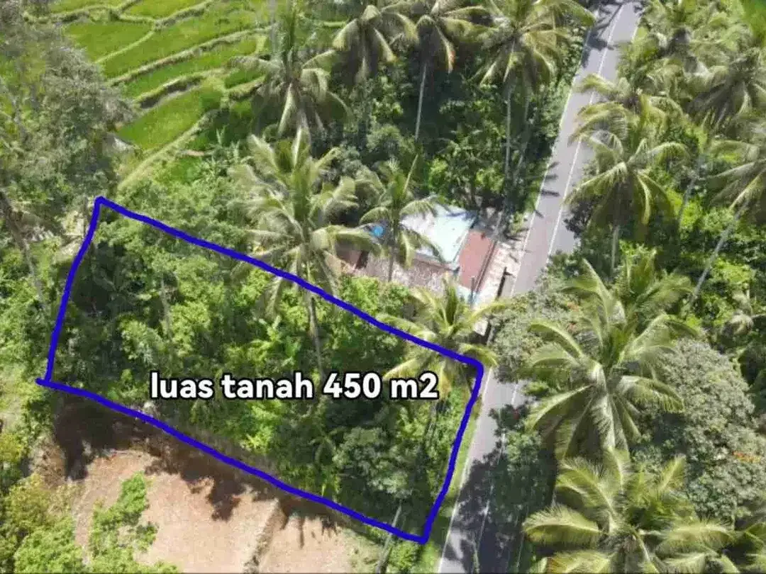 Tanah Komersial Langka Dekat Capella Ubud View Sawah - Image 7 of 10