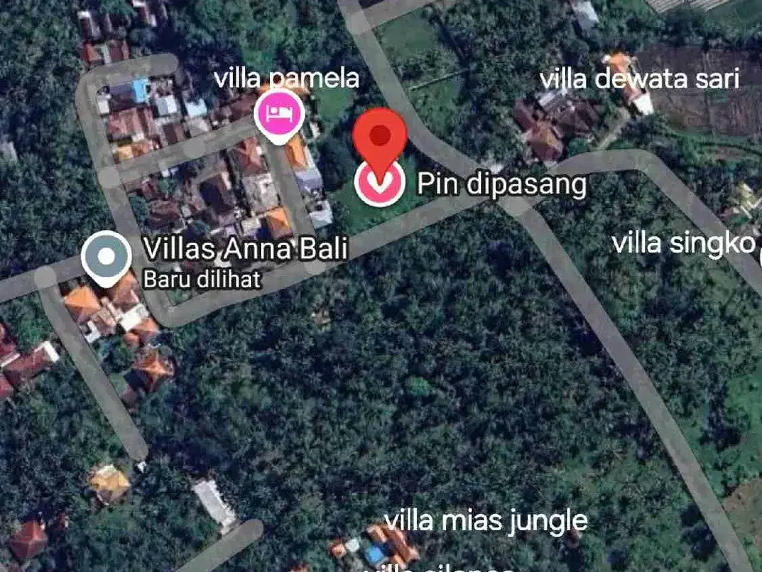Jual tanah 10 are dekat PANTAI LOVINA / LOVINA DOLPIN Buleleng Bali, cck utk VILLA - Image 2 of 10