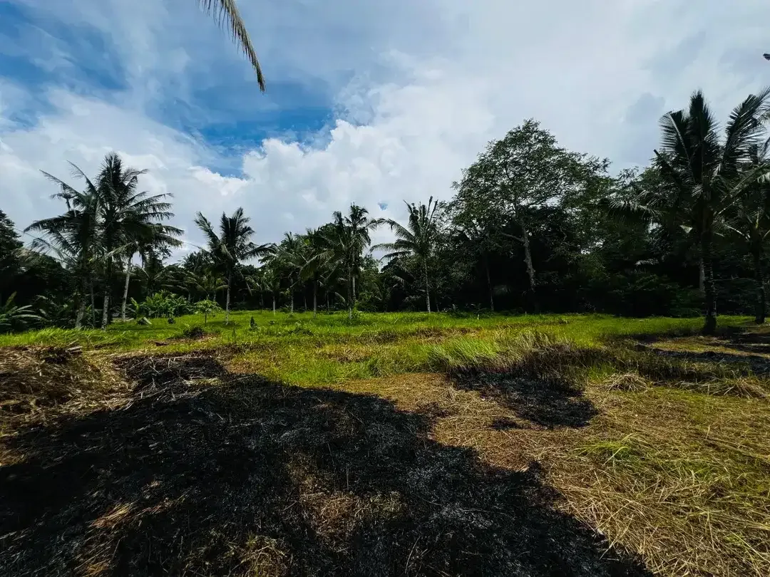 Tanah jungle payangan ubud - Image 5 of 9