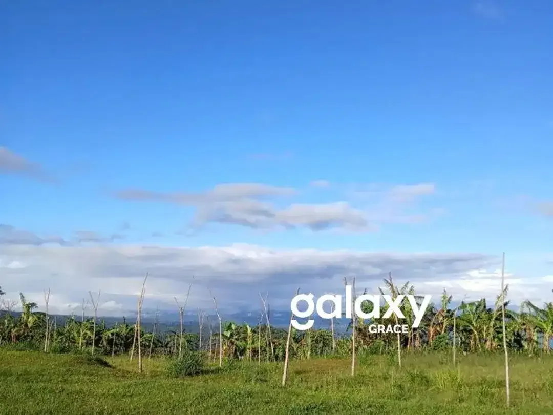 LAND FOR SALEDANAU TAMBLINGAN – MUNDUK - Image 2 of 10