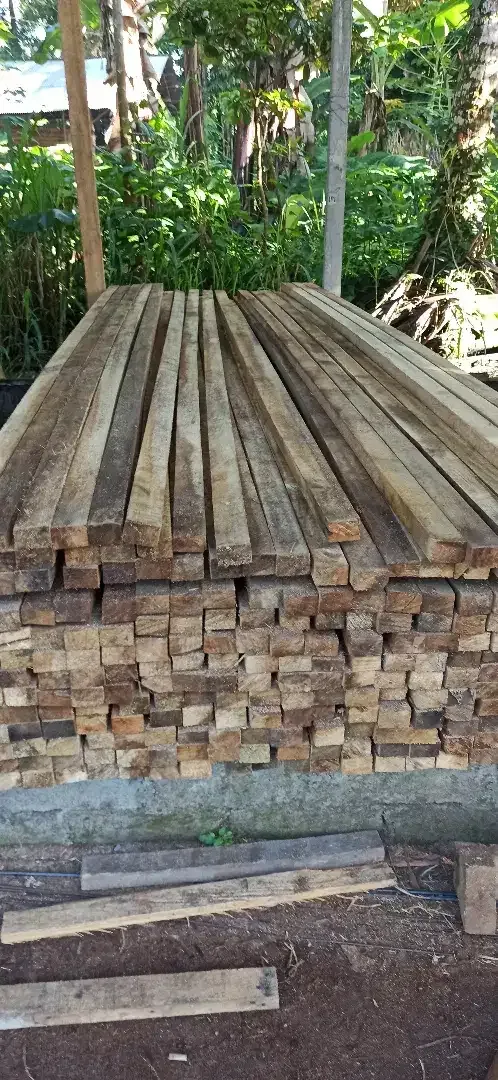 Dijual kayu lokal - Image 8 of 10