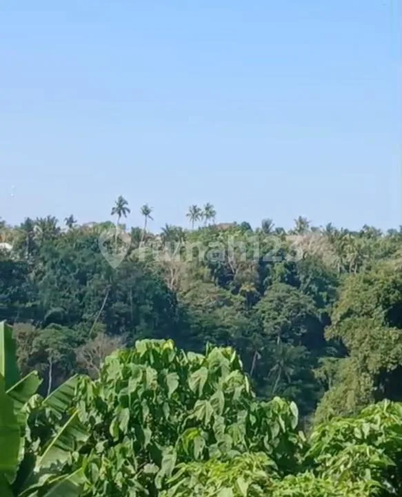 Dijual Tanpa Perantara Dekat Ubud Pinggir Jalan Sampai Sungai Luas 1 Ha, Cocok untuk Villa/Hotel - Image 4 of 4