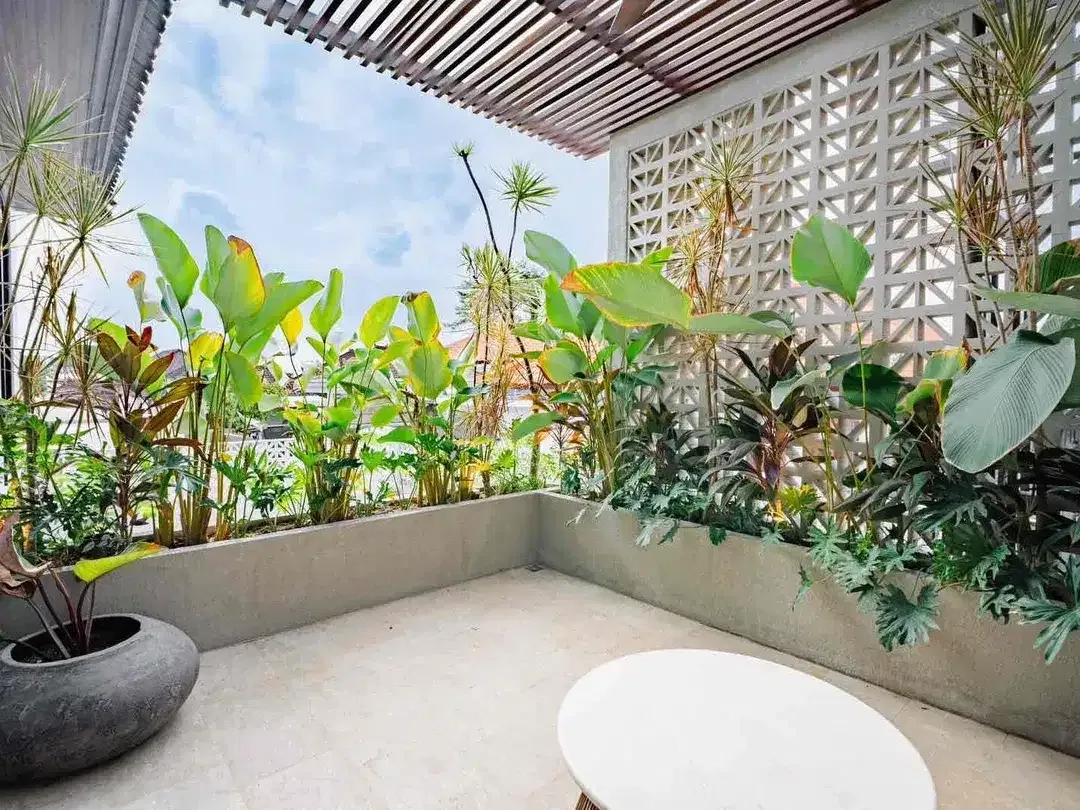 New 3 Bedroom Villa in Canggu - Image 9 of 10