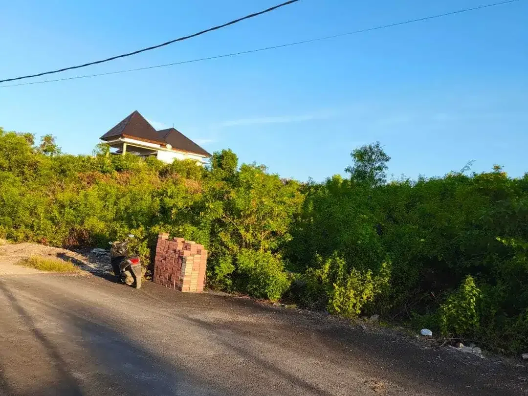 Dijual tanah 1972m² IDR 700 juta per are dipurigading jimbaran Kuta Selatan Badung Bali - Image 9 of 9
