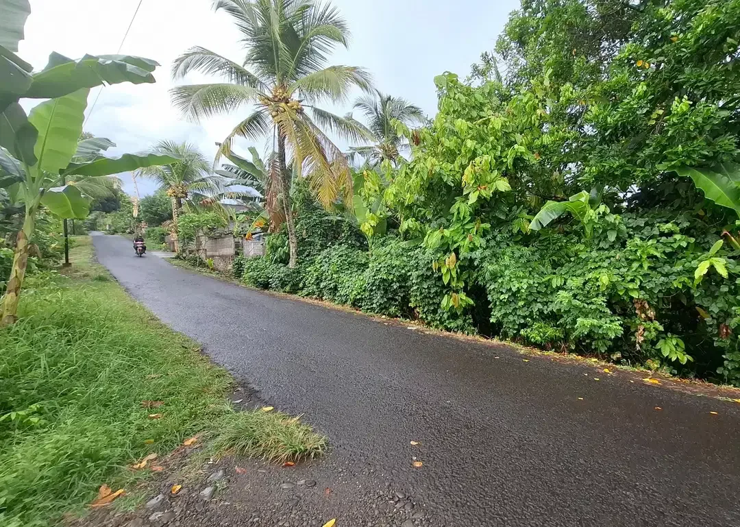 Dijual tanah dekat pantai surfing di medewi jembrana - Image 6 of 9