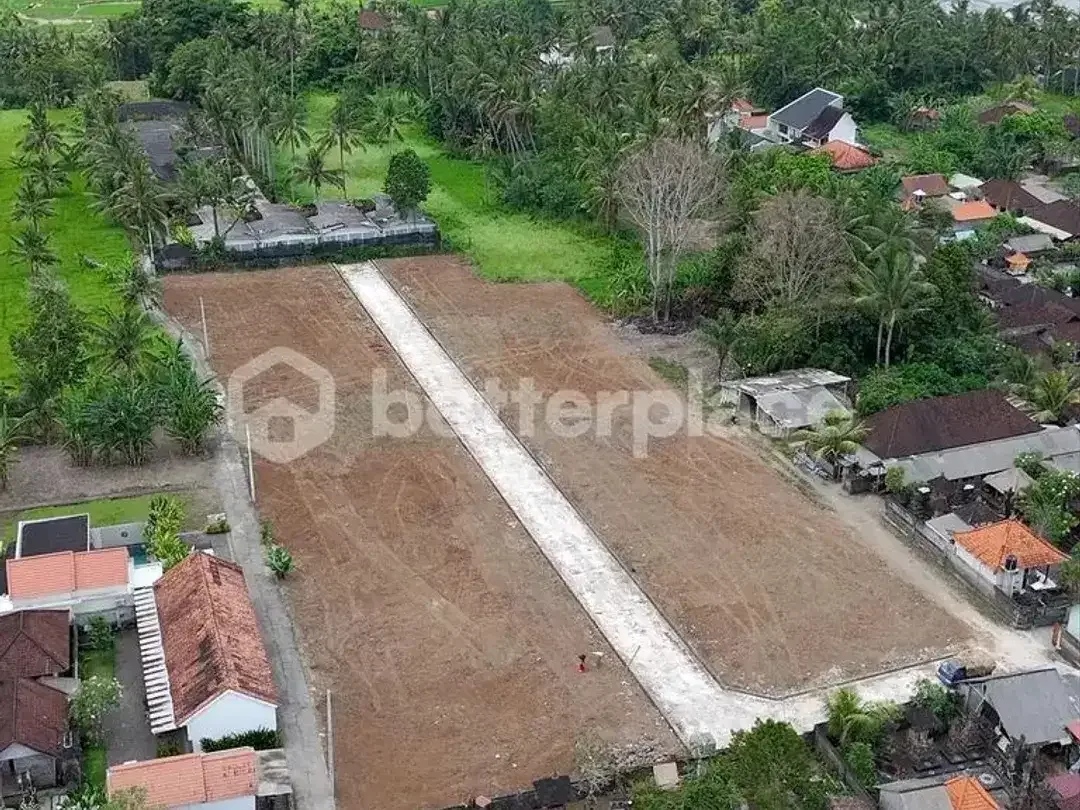 Build Your Dream Tropical Sanctuary in Ubud – Lodtunduh | Premium Freehold Land with Captivating Rice Field Views Only 10 Minutes from Central Ubud - Image 2 of 9