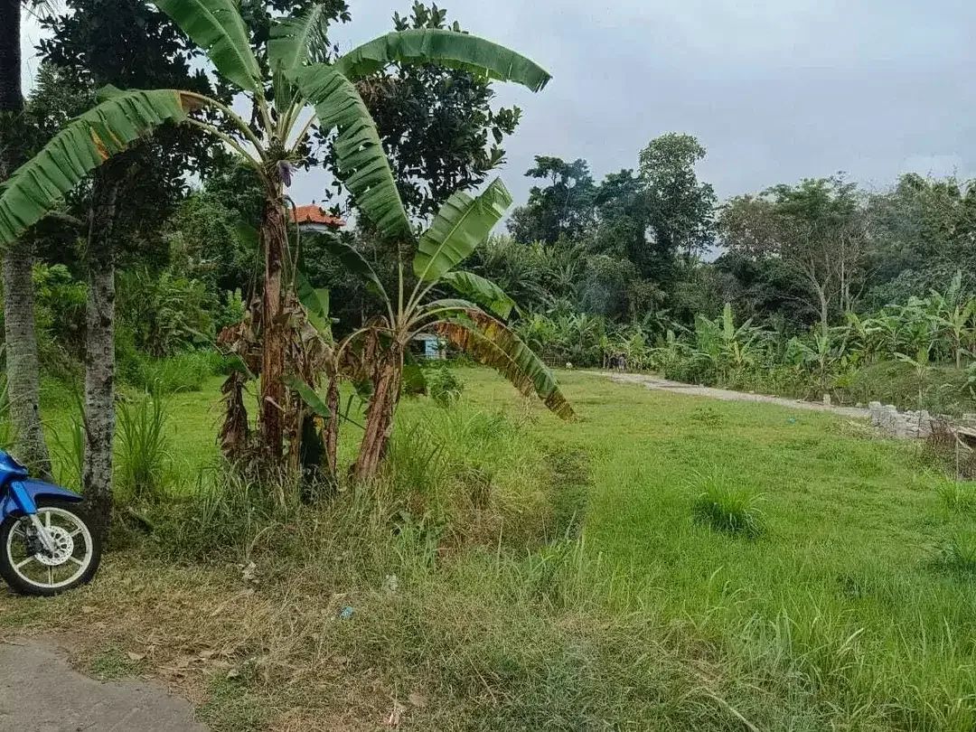 Land for sale in Kediri, Bali - Image 10 of 10