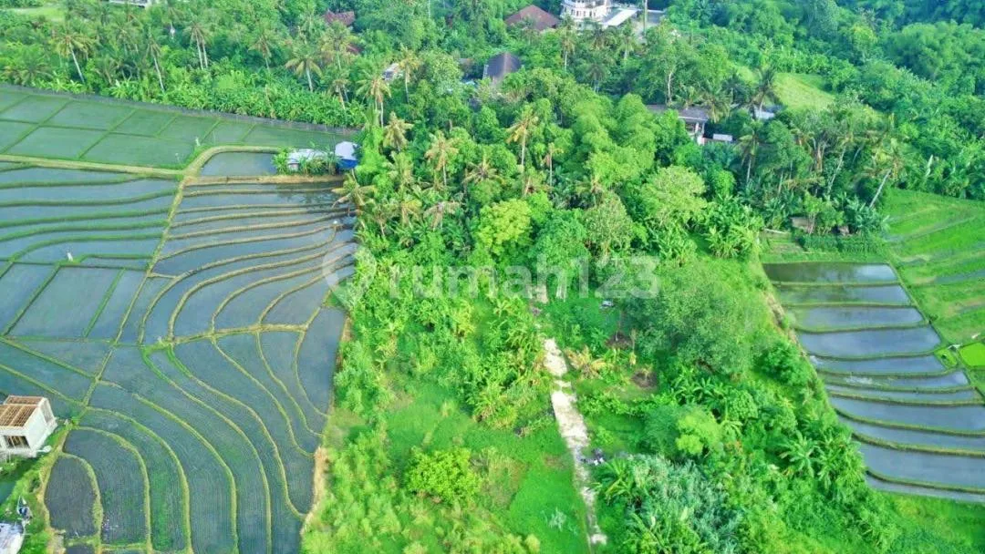Jual Tanah Indah di Pantai Nyanyi, Tabanan - Image 1 of 4