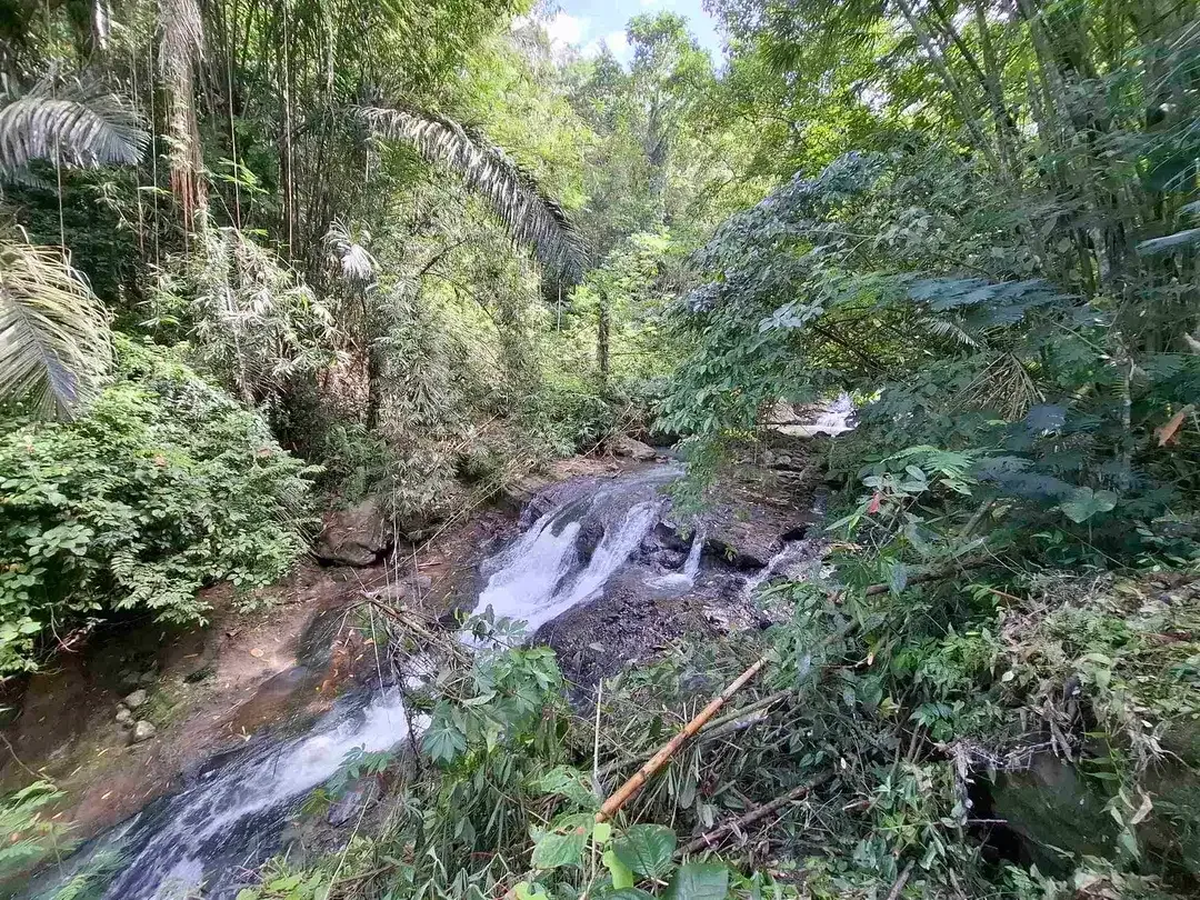 tanah strategis berisi air terjun yang sangat unik di tabanan harga murah - Image 7 of 10
