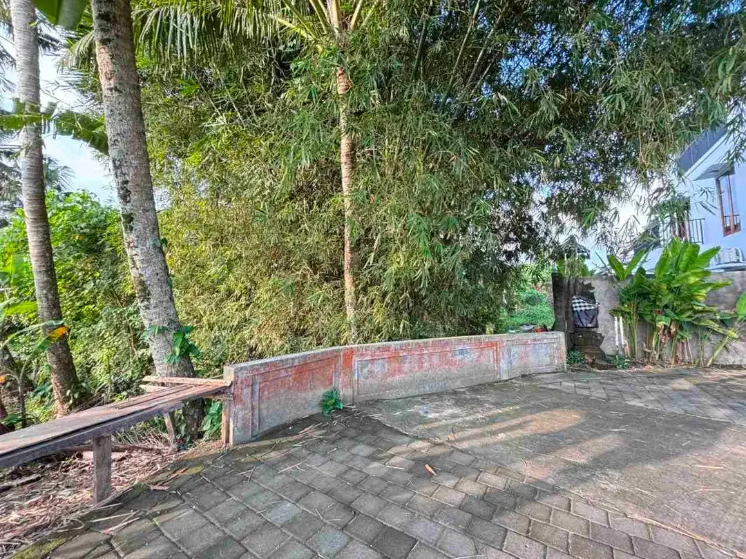 di jual tanah bagus dekat Ubud cocok untuk di kaplvling atau komplek villa - Image 4 of 8