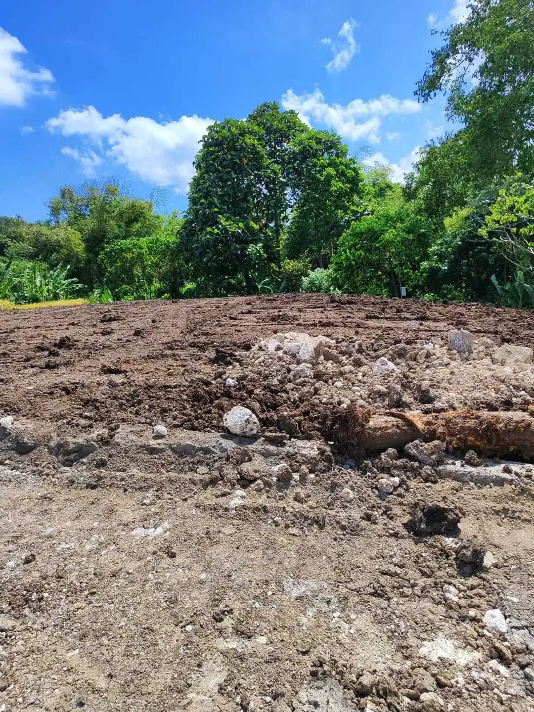 Dijual Kavling untuk Villa di Belalang Tabanan Luas Mulai 150 - 800 m2 - Image 2 of 6