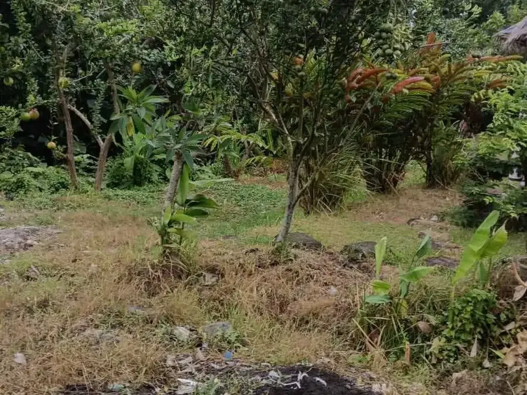 Land for sale in Kaba Kaba, Bali - Image 6 of 7