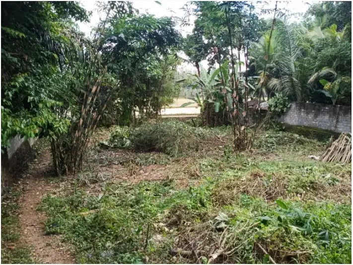 Land Murah 700 sqm at Semana, Ubud - Image 2 of 5