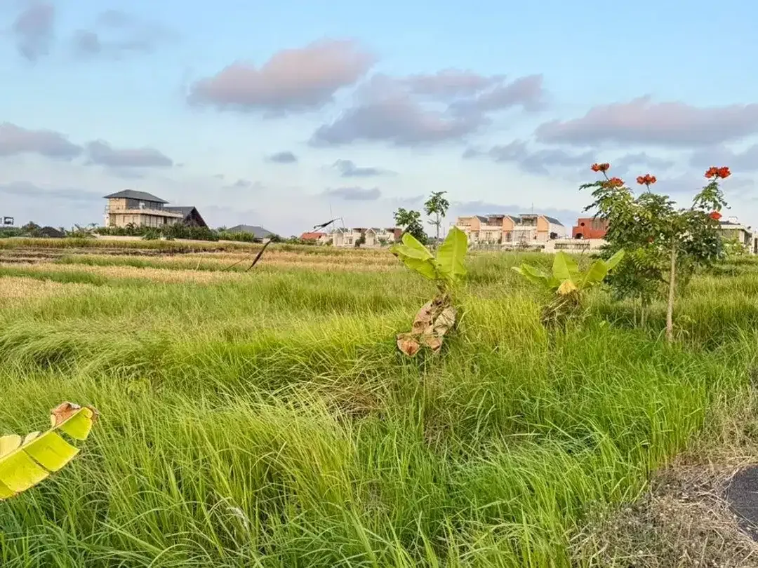 TANAH PREMIUM DI CEMAGI MENGWI BADUNG DEKAT PANTAI - Image 10 of 10